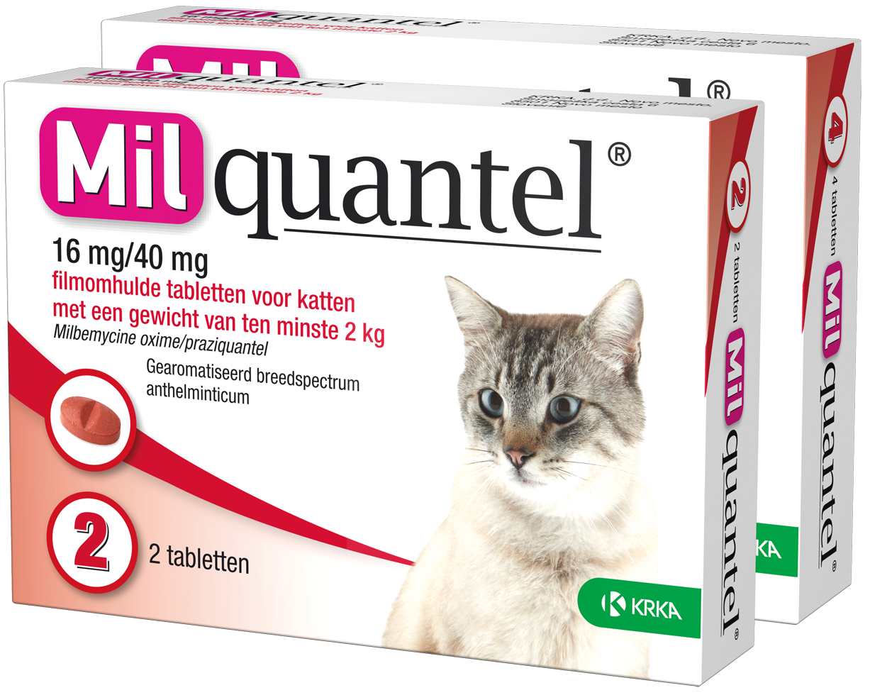 Milquantel 16 mg/40 mg Kat Groot 4 tabl. >2kg