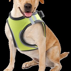 Pawise Doggy Safety Harness M A:32-37cm B:42-46cm