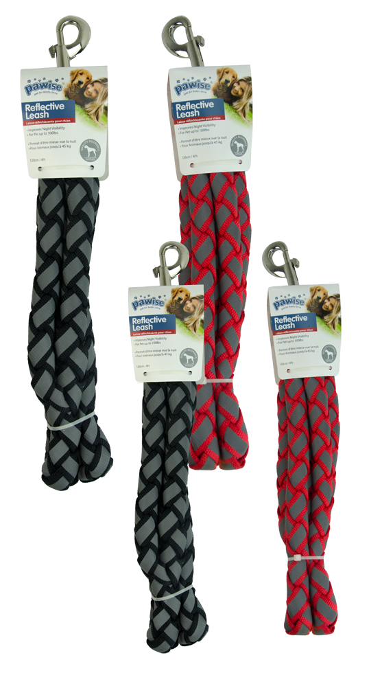 Pawise Dog Reflective Leash Red 1 cm