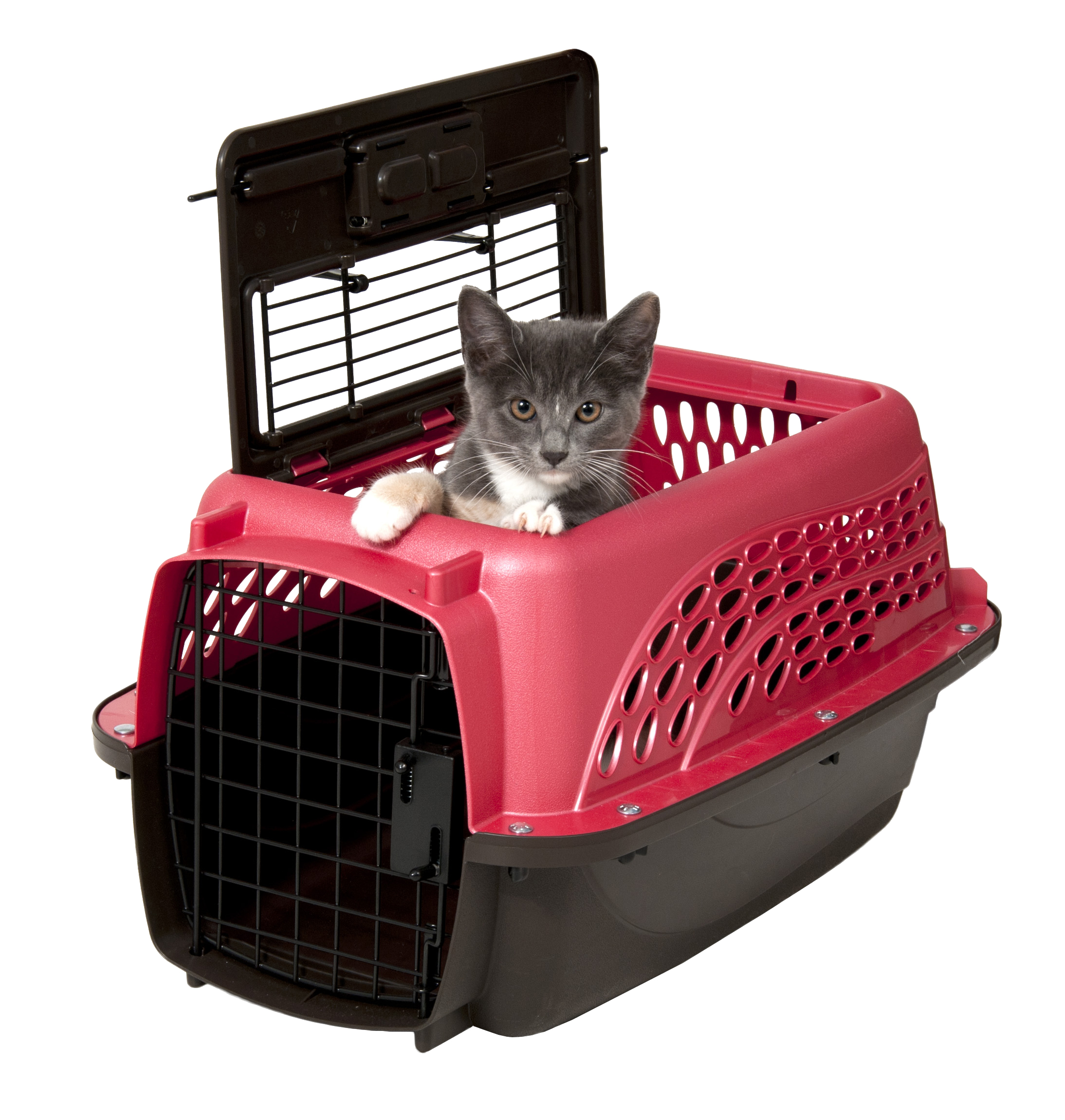 Petmate 2 Door Top Load Kennel XS Pink - Afbeelding 2