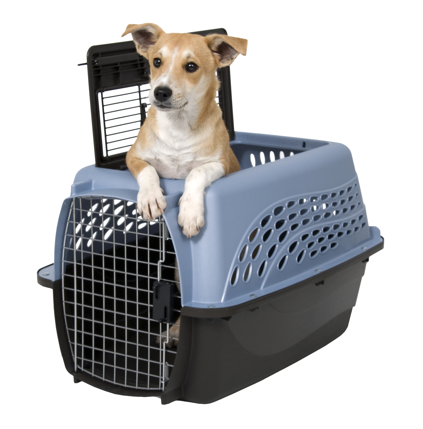 Petmate 2 Door Top Load Kennel S Blue - Afbeelding 2