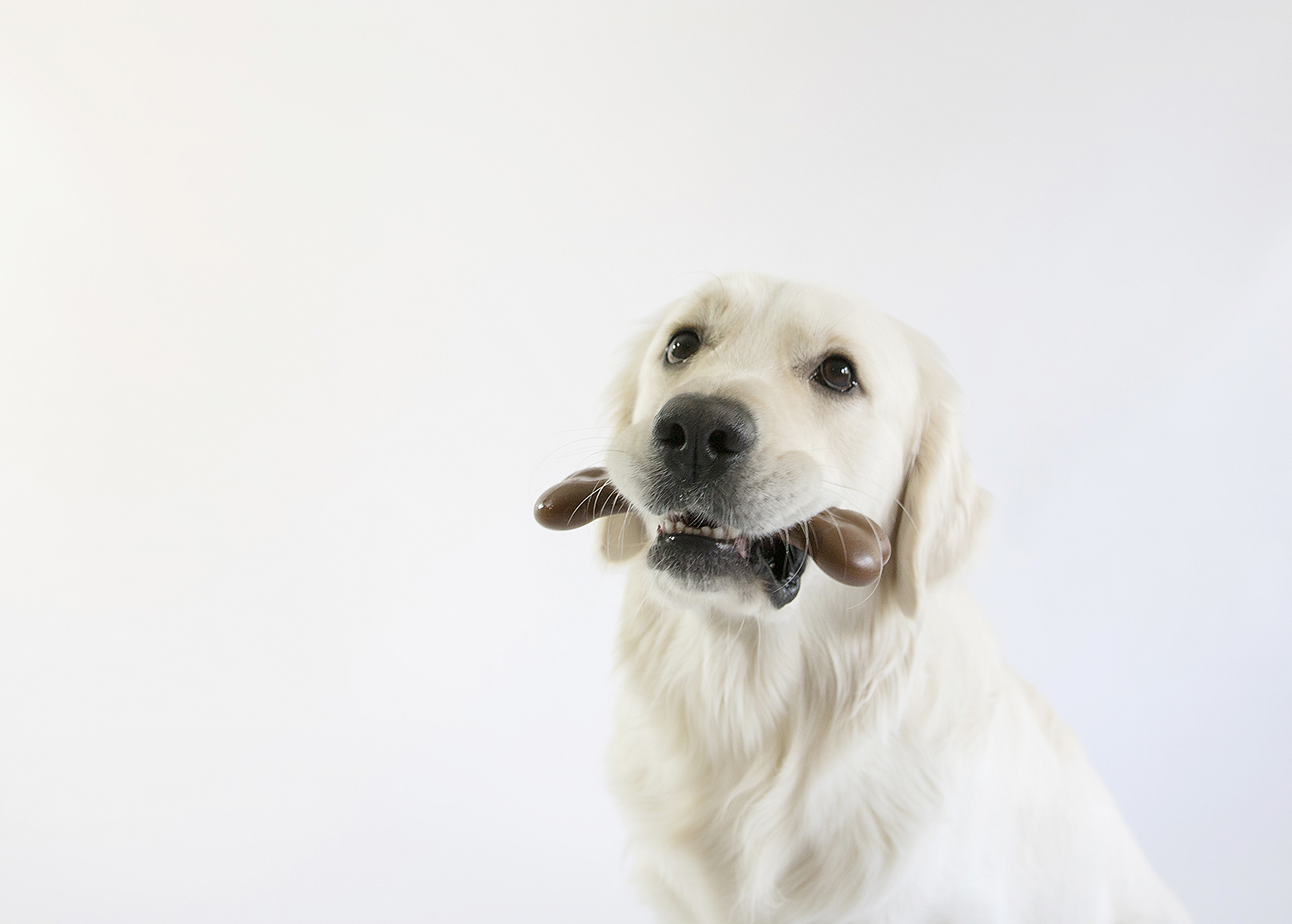 Pet Qwerks Flavorit Nylon Bark Bone Peanut Butter Small - Afbeelding 5