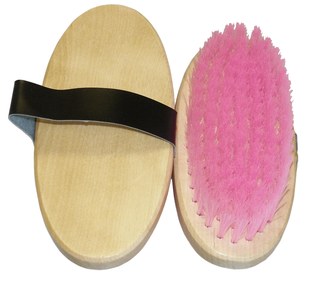 Paardenborstel kleur assorti 19cm