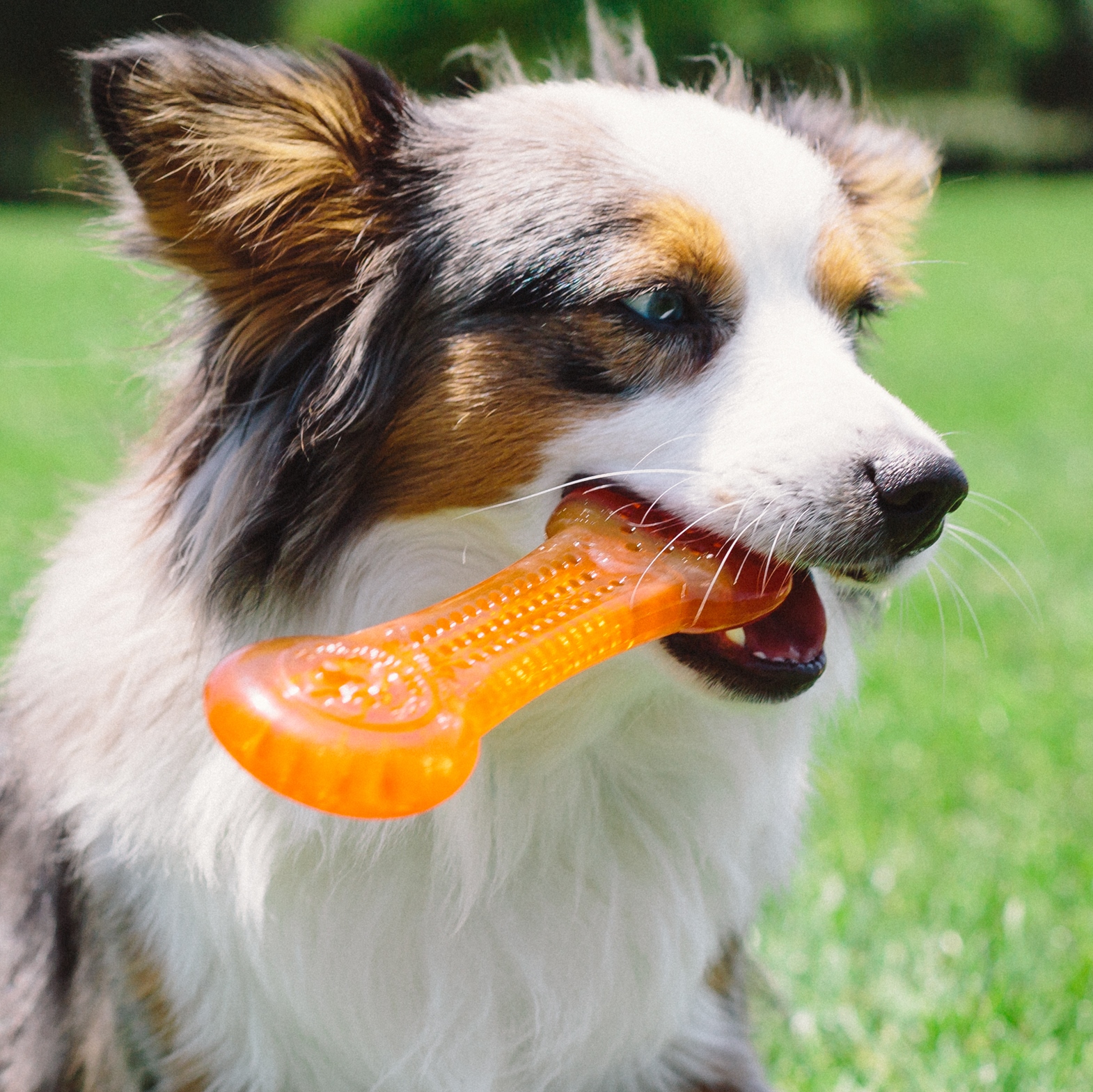 Pet Qwerks Flavorit Flex Peanut Butter Bone XL 20 cm - Afbeelding 3