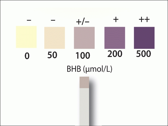 Slepende Melkziekte test Porta BHB - Afbeelding 2