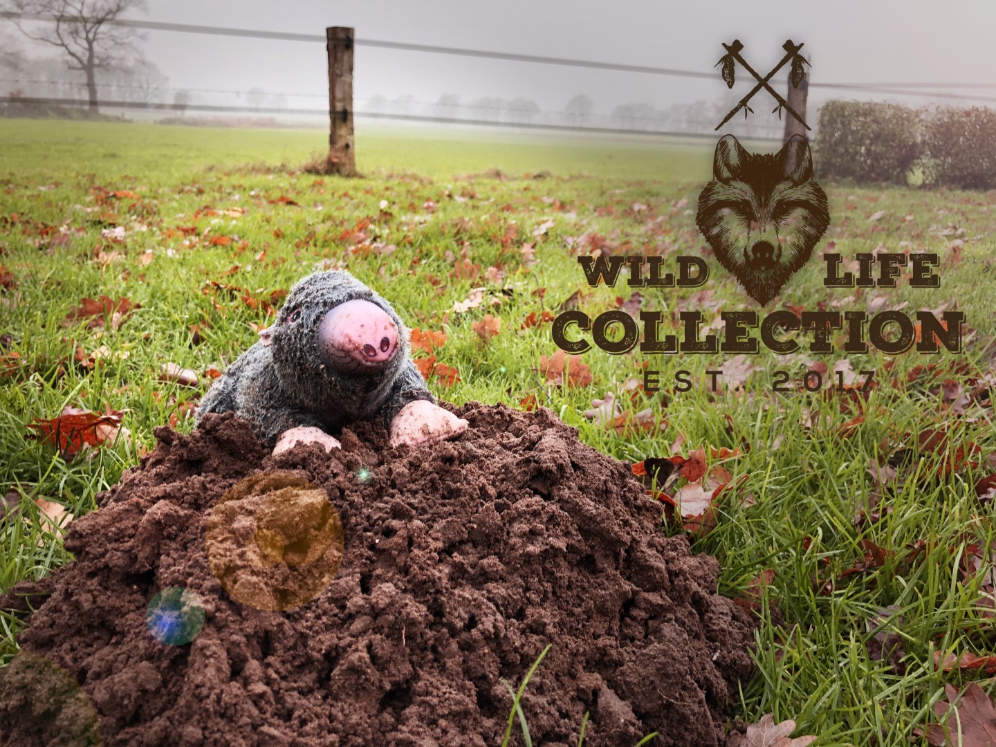 Wild Life Dog Mole (Mol) - Afbeelding 4