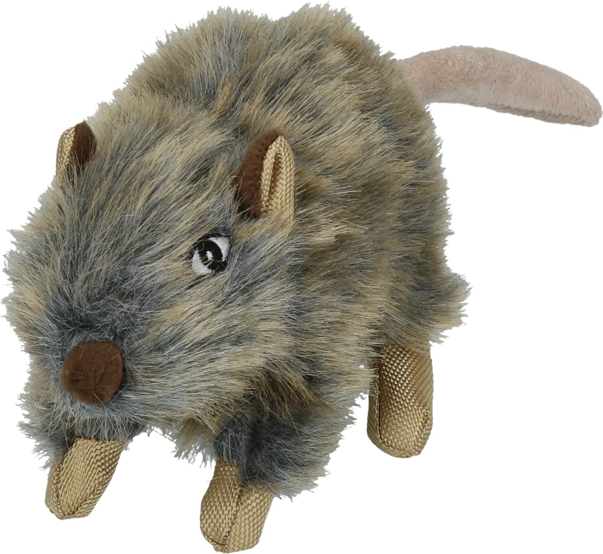 Wild Life Dog Rat - Afbeelding 3