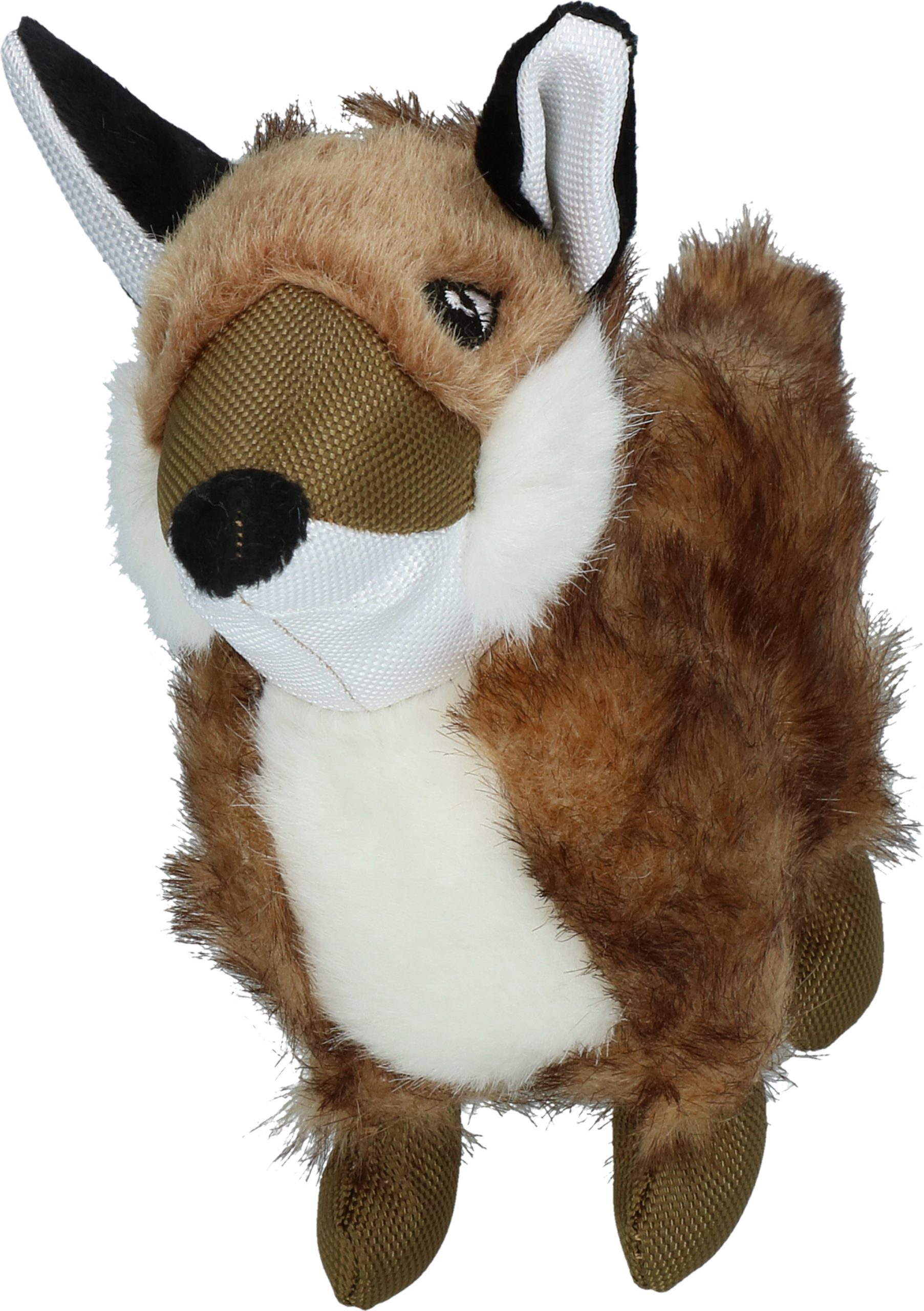 Wild Life Dog Fox - Afbeelding 3