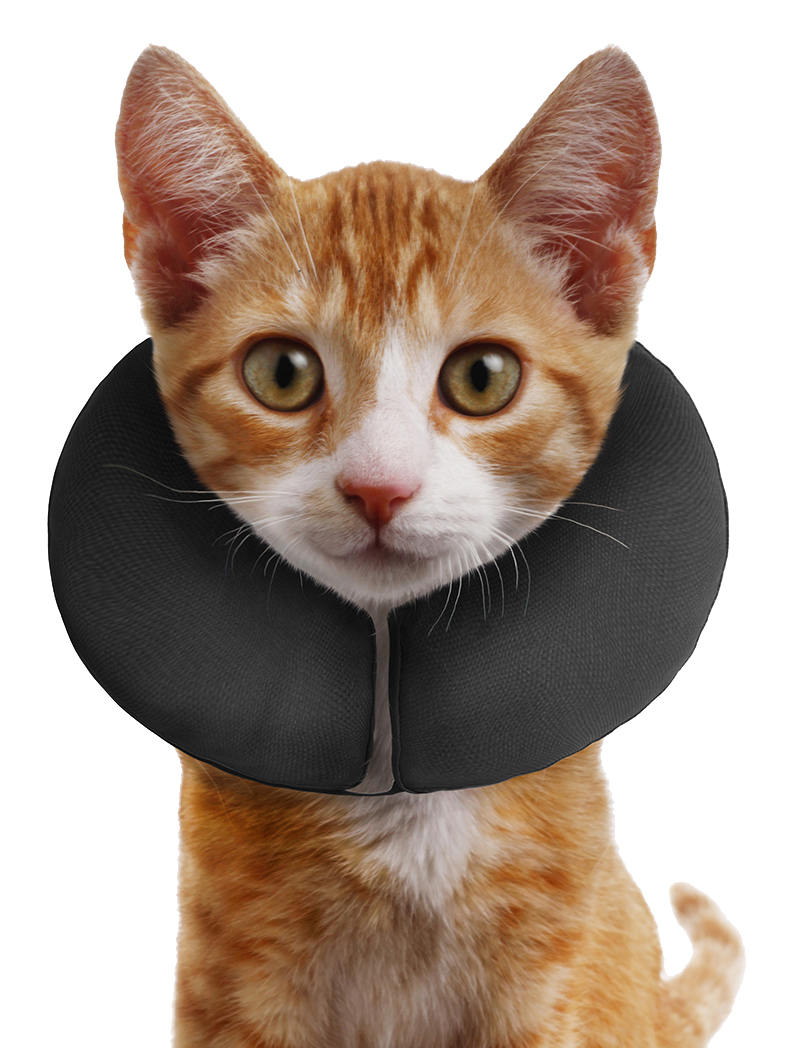 Zenpet ProCollar XS - Afbeelding 5