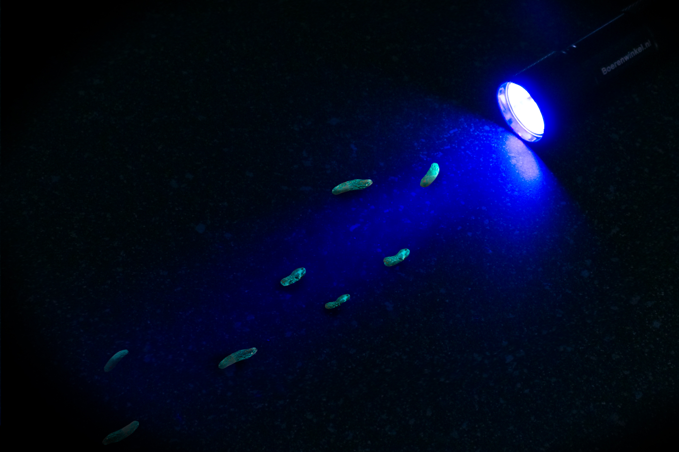 Zaklantaarn 5-led UV black light - Afbeelding 2