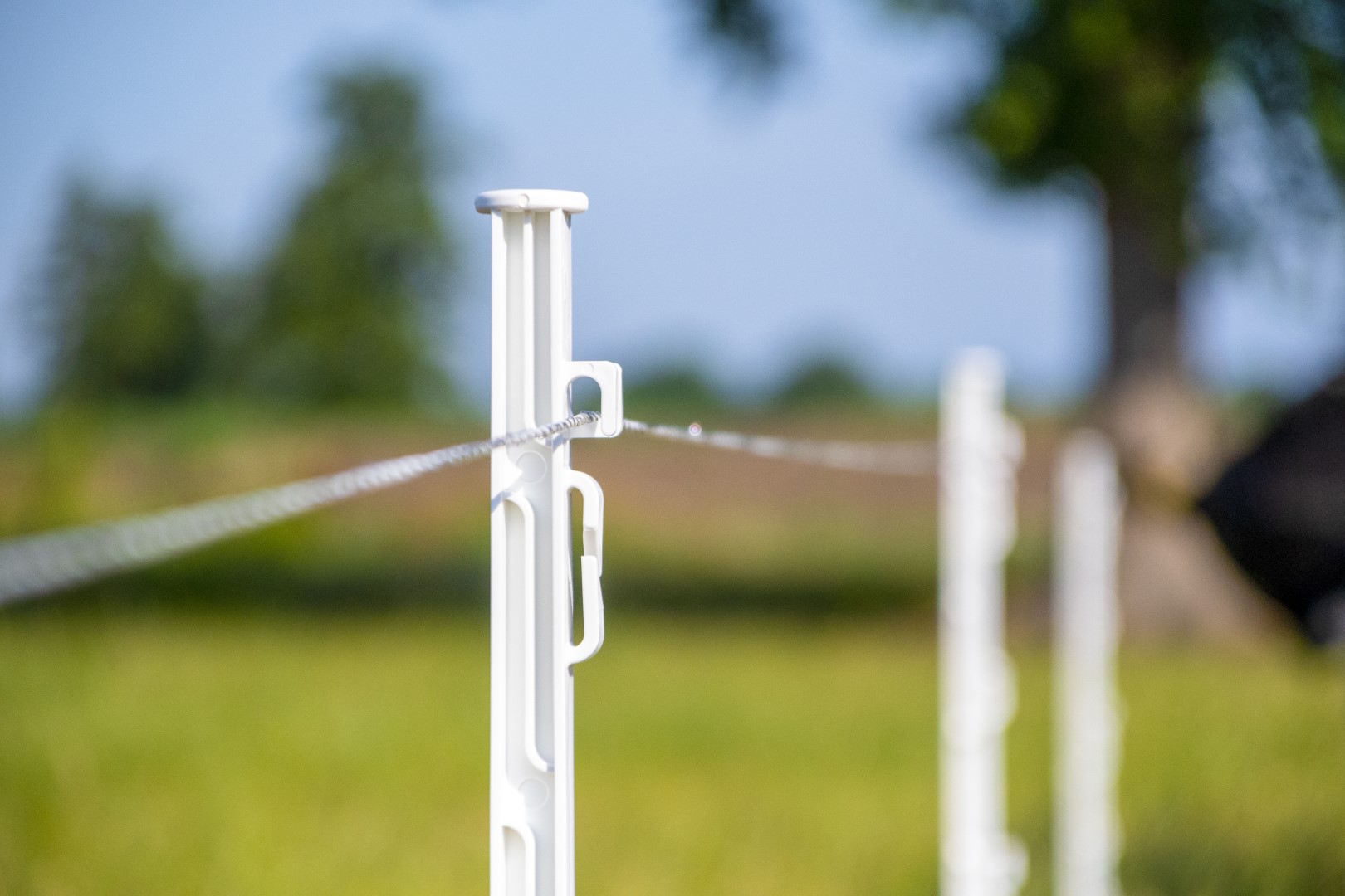 ZoneGuard 3 mm Plus afrasteringsdraad wit en groen 400 m - Afbeelding 4