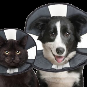 Zenpet Procone L