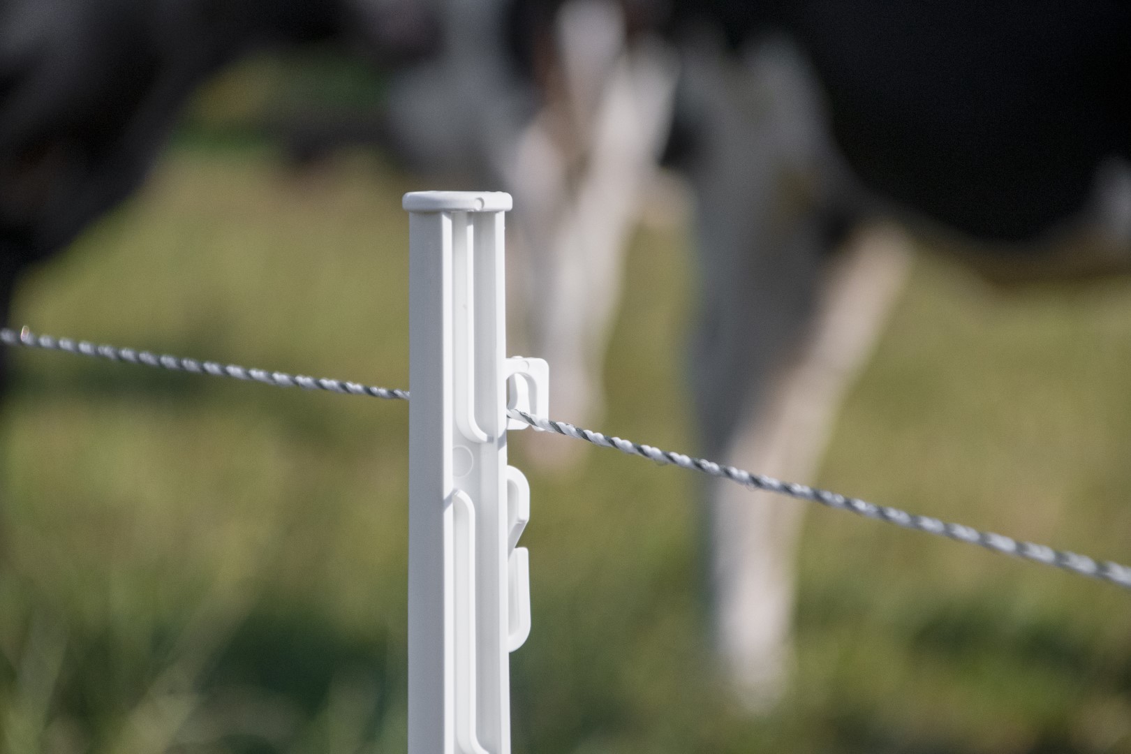 ZoneGuard 3 mm Plus afrasteringsdraad wit en groen 400 m - Afbeelding 6