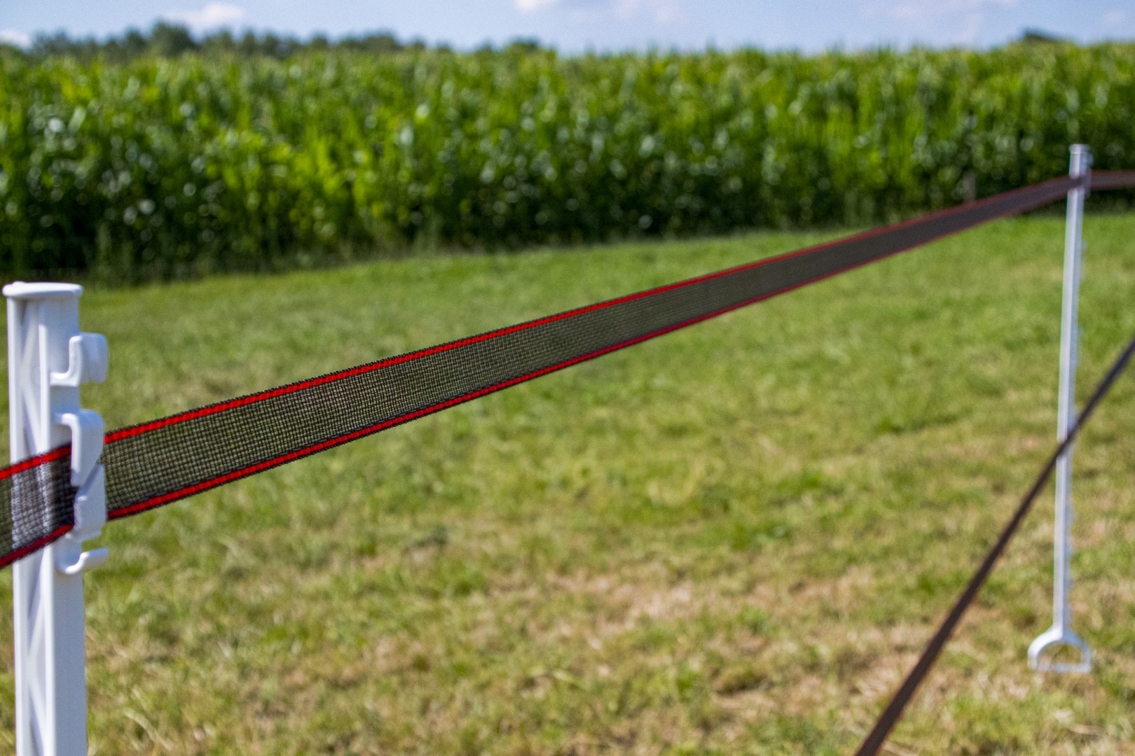 ZoneGuard 40 mm Plus afrasteringslint bruin 200 m - Afbeelding 4