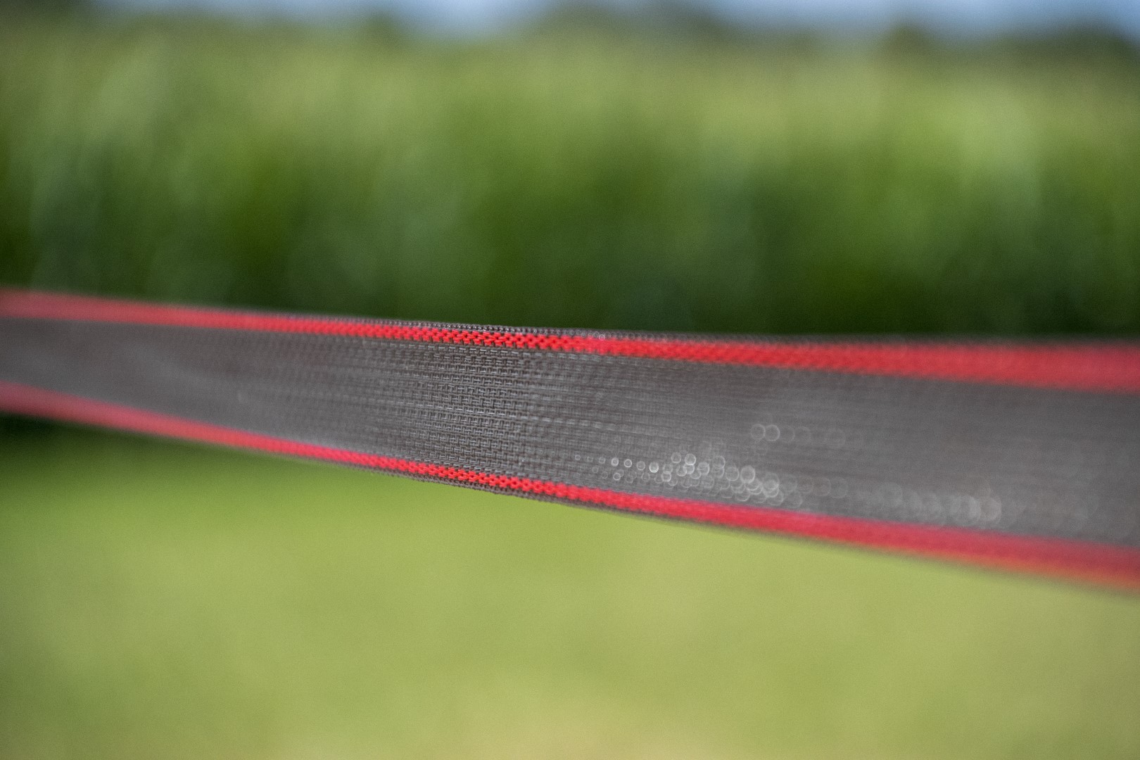 ZoneGuard 40 mm Plus afrasteringslint bruin 200 m - Afbeelding 6