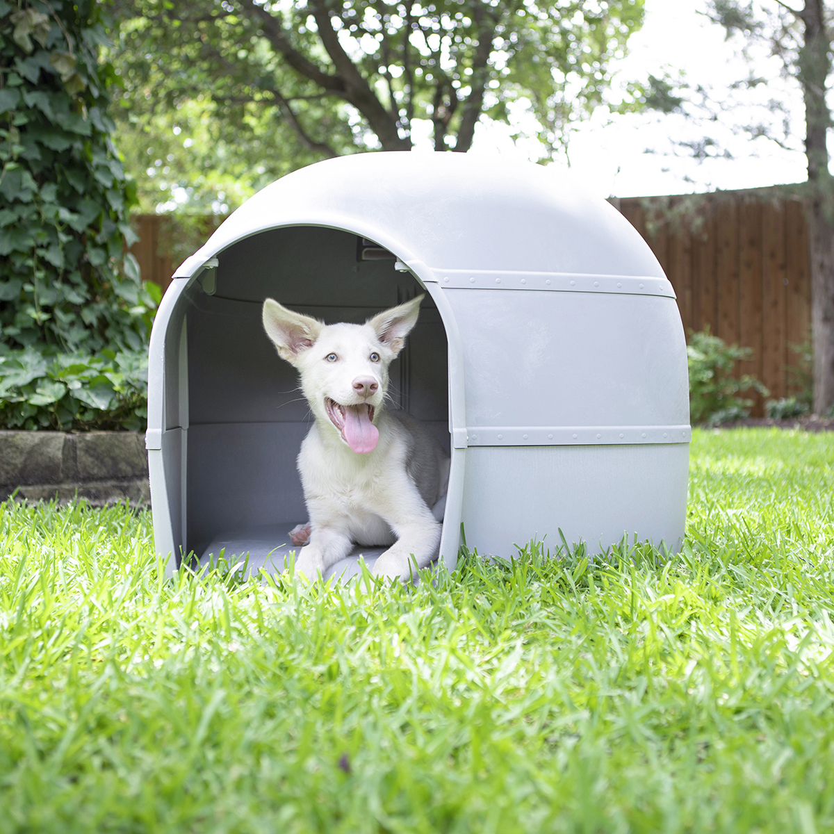 Petmate Husky Dog House 22-40kg - Afbeelding 3
