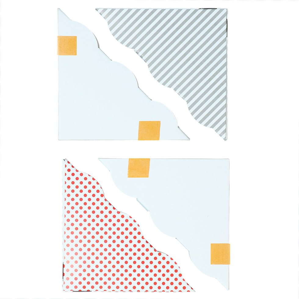 Raamvliegenval - Afbeelding 4