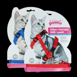 Pawise Kitten Harness Leash-Red/Blue