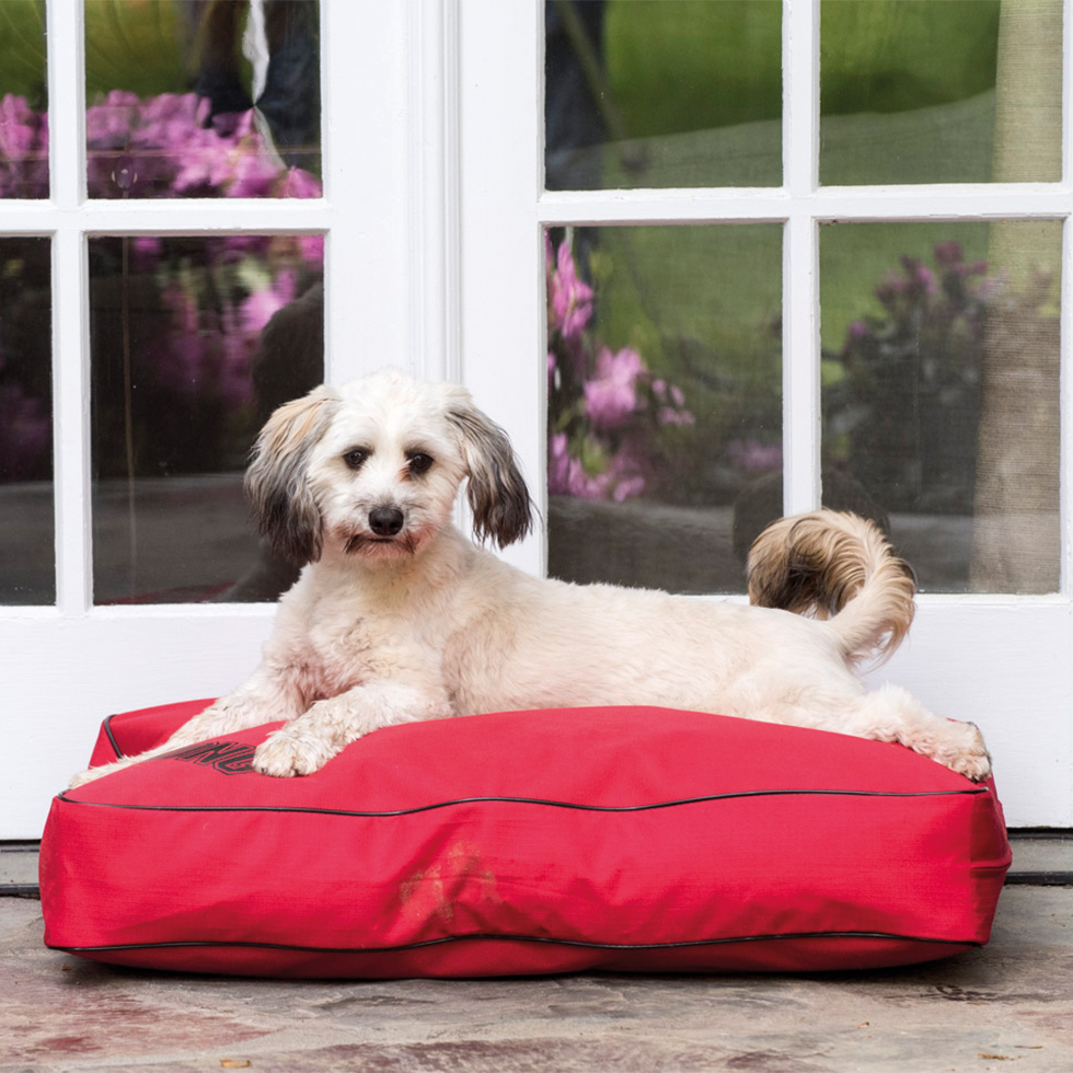 KONG Rectangle Beds Small, Rood - Afbeelding 2