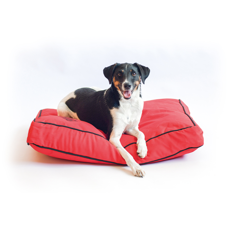 KONG Rectangle Beds Small, Rood - Afbeelding 4