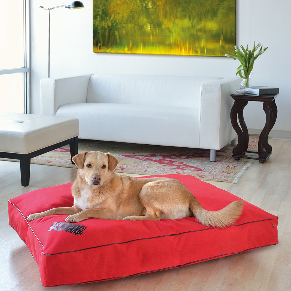 KONG Rectangle Beds Small, Rood - Afbeelding 5