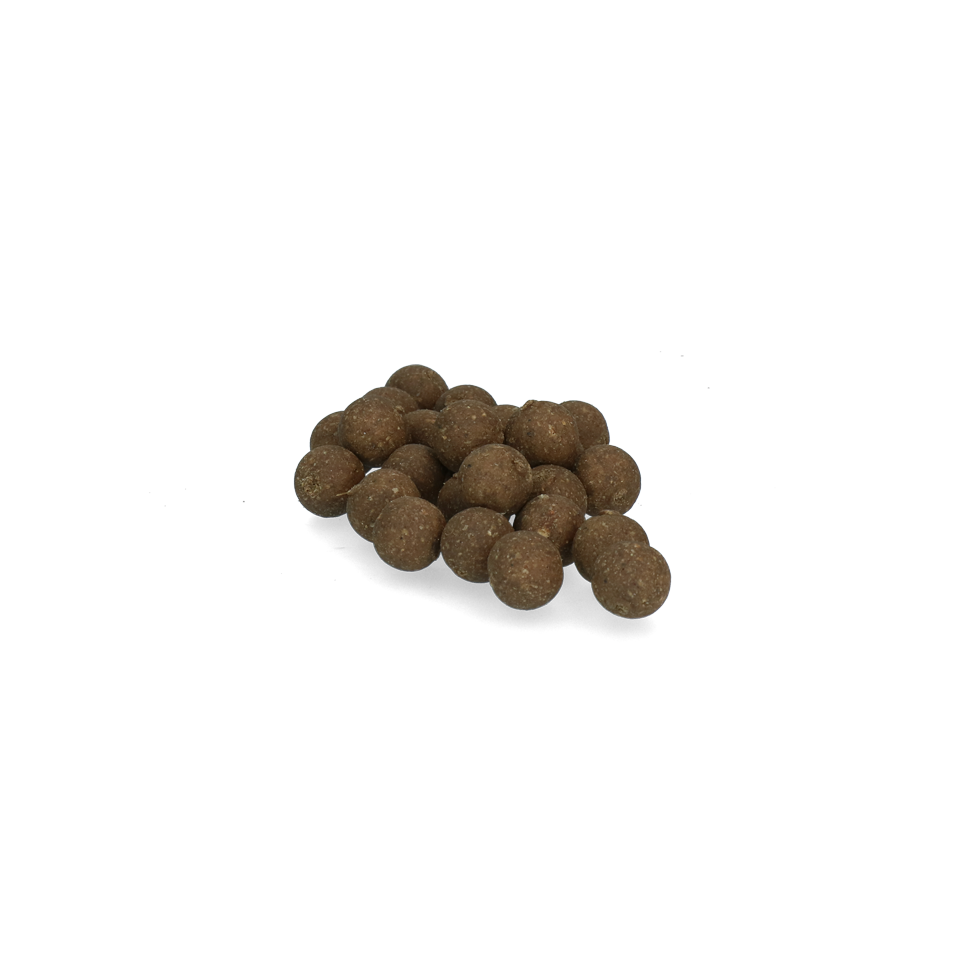 Pet Rewards Boilies salmon 15 mm - Afbeelding 3