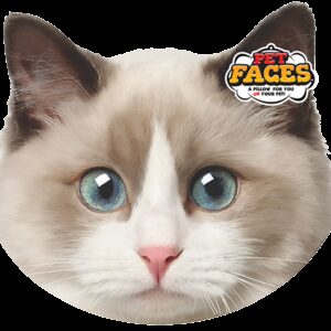Pet Faces Lappenpop kat