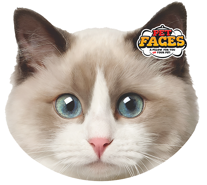 Pet Faces Lappenpop kat
