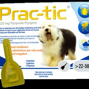 Prac-Tic 625 mg Teek&Vlo (22-50 kg) 3 pipet