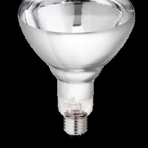 Lamp 250w wit Hard Glas Philips