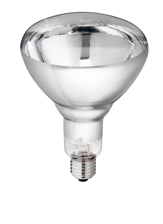 Lamp 250w wit Hard Glas Philips