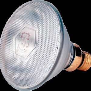Lamp 100 W wit Philips spaar