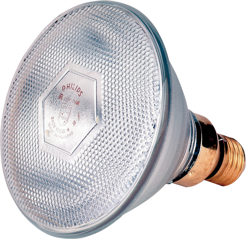 Lamp 100 W wit Philips spaar
