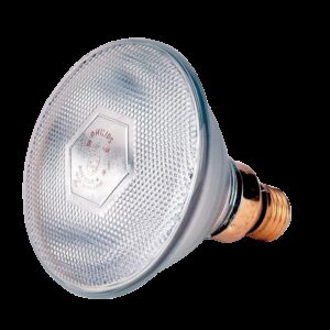 Lamp 175 W wit Philips spaar