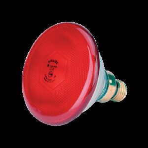 Lamp 100 W rood Philips spaar