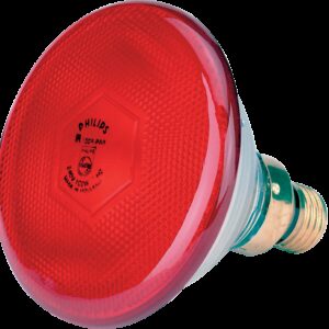 Lamp 175 W rood Philips spaar