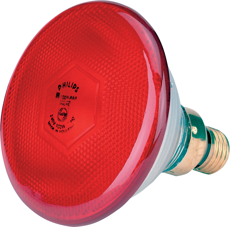 Lamp 175 W rood Philips spaar