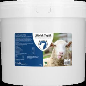 Likblok Toplik schaap/lam