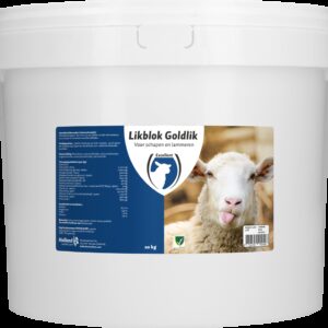 Likblok Goldlik schaap/lam