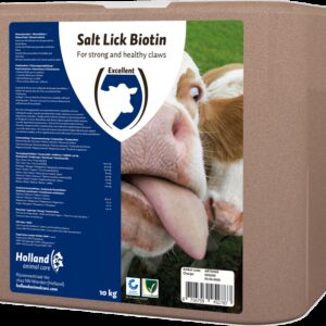 Liksteen "BIOTIN"