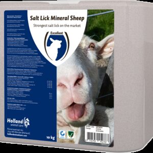 Liksteen "MINERAL" Schaap