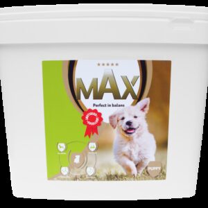 Max Puppy