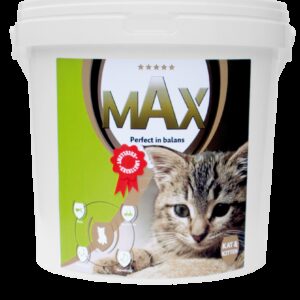 Max Kat en Kitten