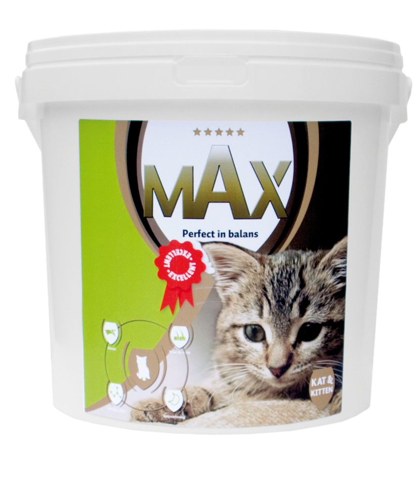 Max Kat en Kitten
