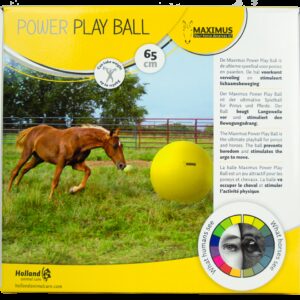 Maximus Power Play Ball 65cm