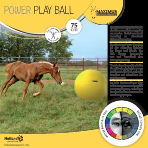 Maximus Power Play Ball 75cm