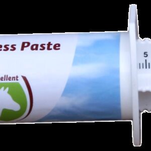 No Stress Paste Horse