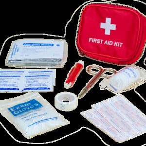 Pawise First Aid Kit