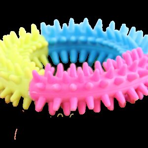 Rainbow World - Coronule L