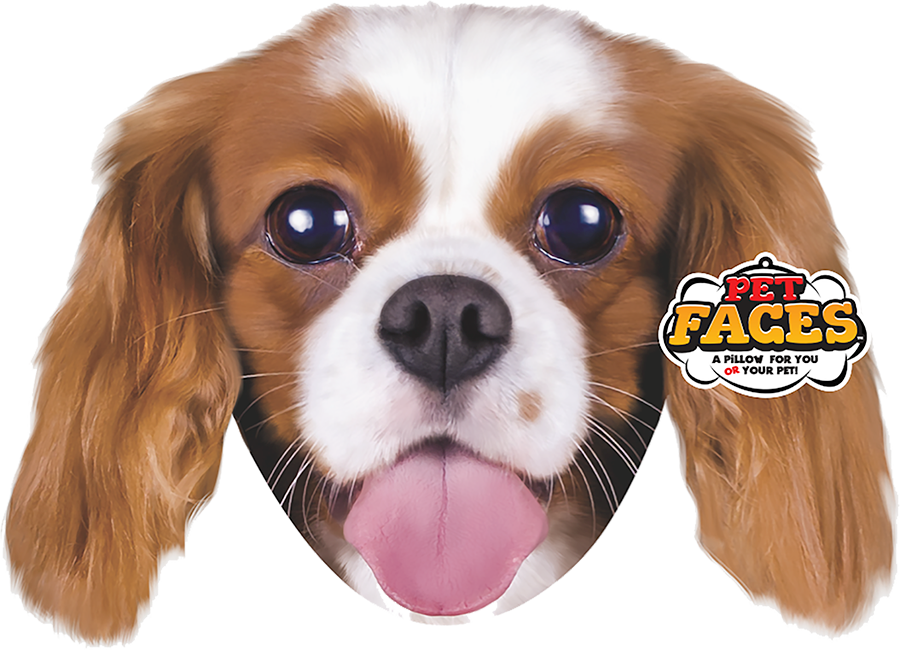 Pet Faces King Charles